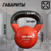 Гиря в виниловой оболочке 16 кг Fitex Pro FTX2201-16 75_75