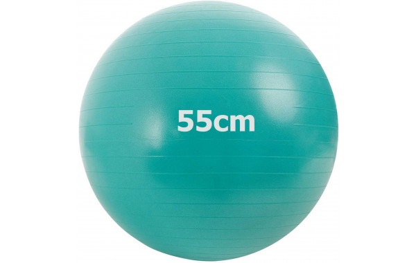 Мяч гимнастический Anti-Burstl d55 см Sportex GMA-55-C зеленый 600_380