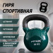 Гиря в виниловой оболочке 28 кг Fitex Pro FTX2201-28 75_75