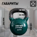 Гиря в виниловой оболочке 28 кг Fitex Pro FTX2201-28 75_75