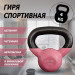 Гиря в виниловой оболочке 4 кг Fitex Pro FTX2201-4 75_75