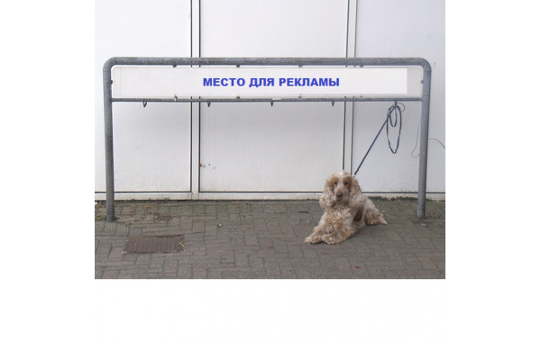 Рекламная парковка для собак Hercules ПС-05 600_380