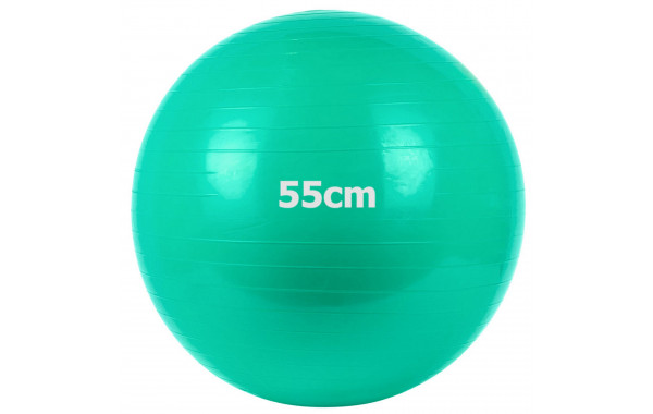 Мяч гимнастический Gum Ball d55 см Sportex GM-55-3 зеленый 600_380