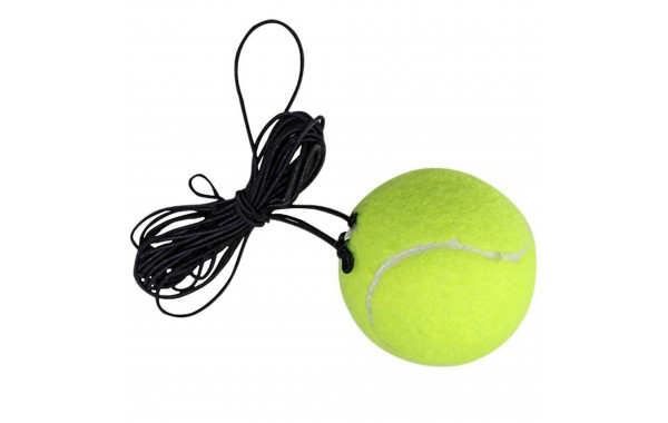 Мяч теннисный на эластичном шнурке Sportex B32197 600_380