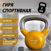 Гиря в виниловой оболочке 8 кг Fitex Pro FTX2201-8 75_75