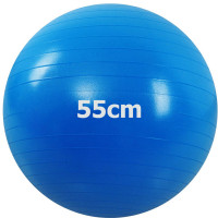 Мяч гимнастический Anti-Burstl d55 см Sportex GMA-55-B синий
