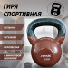 Гиря в виниловой оболочке 20 кг Fitex Pro FTX2201-20 75_75