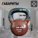 Гиря в виниловой оболочке 20 кг Fitex Pro FTX2201-20 75_75