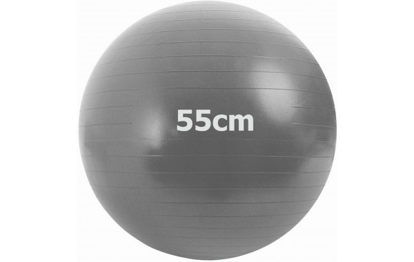Мяч гимнастический Anti-Burstl d55 см Sportex GMA-55-A серый 600_380
