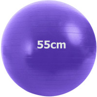 Мяч гимнастический Anti-Burstl d55 см Sportex GMA-55-D фиолетовый