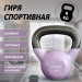 Гиря в виниловой оболочке 6 кг Fitex Pro FTX2201-6 75_75