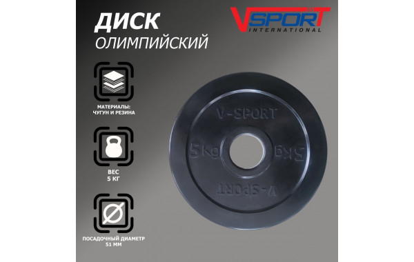 Диск олимпийский V-Sport LB-5 51мм 5кг 600_380