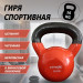 Гиря в виниловой оболочке 16 кг Fitex Pro FTX2201-16 75_75