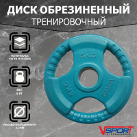 Диск Олимпийский 5кг, обрезиненный цветной с ручками V-Sport LC-5