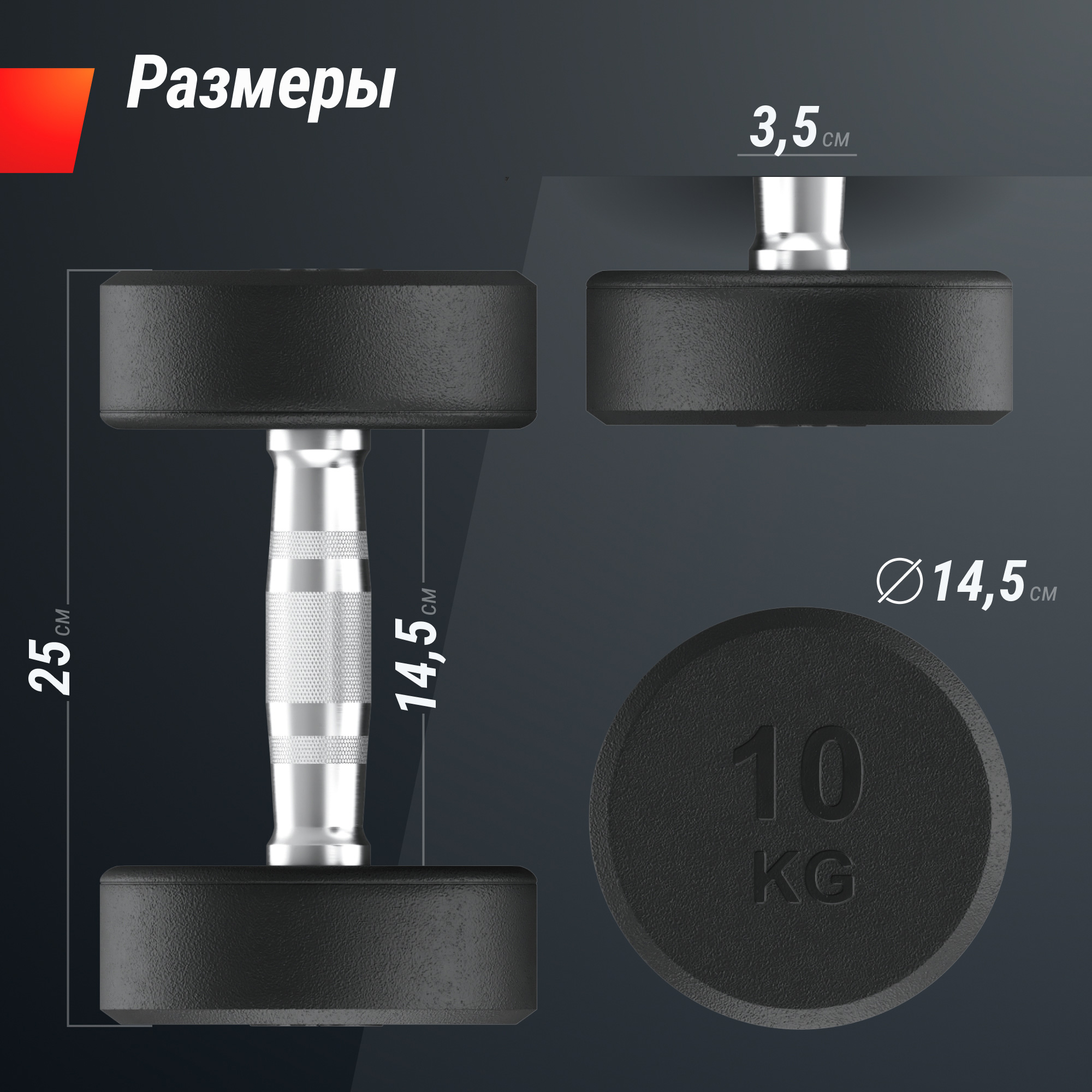 Гантель круглая обрезиненная 10 кг UnixFit PRO DBRND10PBKx2 2 шт 2000_2000
