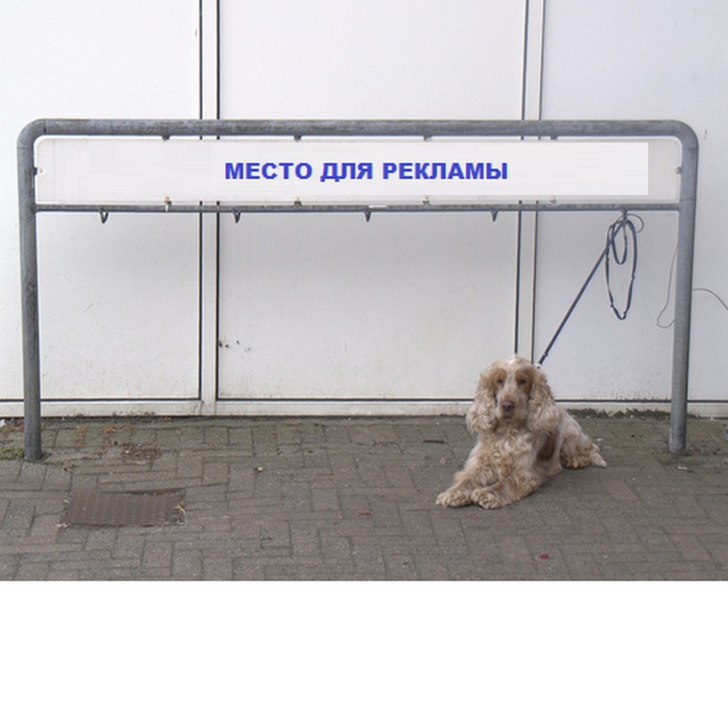 Рекламная парковка для собак Hercules ПС-05 818_800