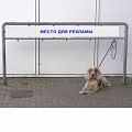 Рекламная парковка для собак Hercules ПС-05 120_120