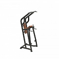 Поднятие коленей\брусья\подтягивание UltraGym UG-IN646 120_120